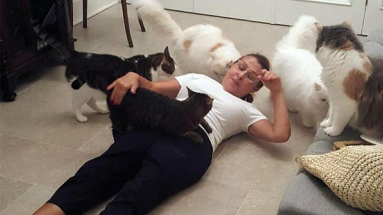 KEDİLERİ ÜNLÜ ŞARKICIYI BÖYLE KARŞILADI!