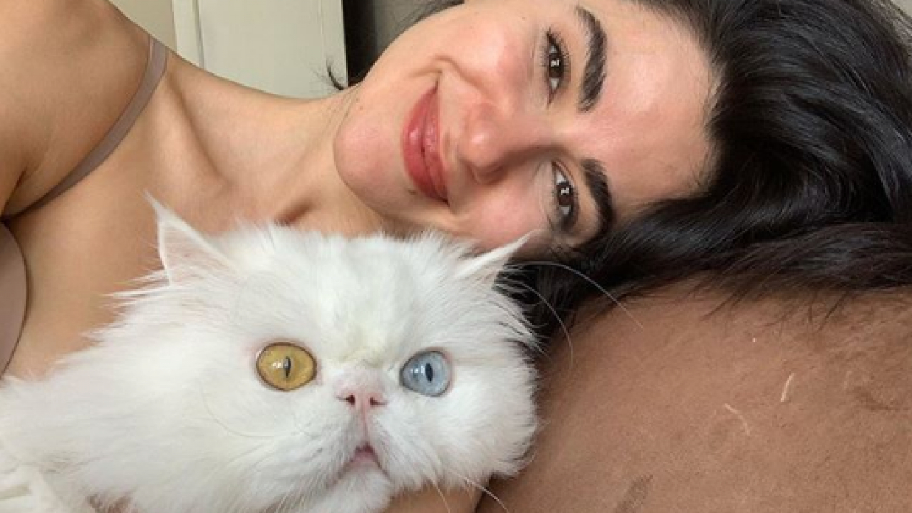NESRİN CAVADZADE, KEDİSİYLE SPOR YAPTI!