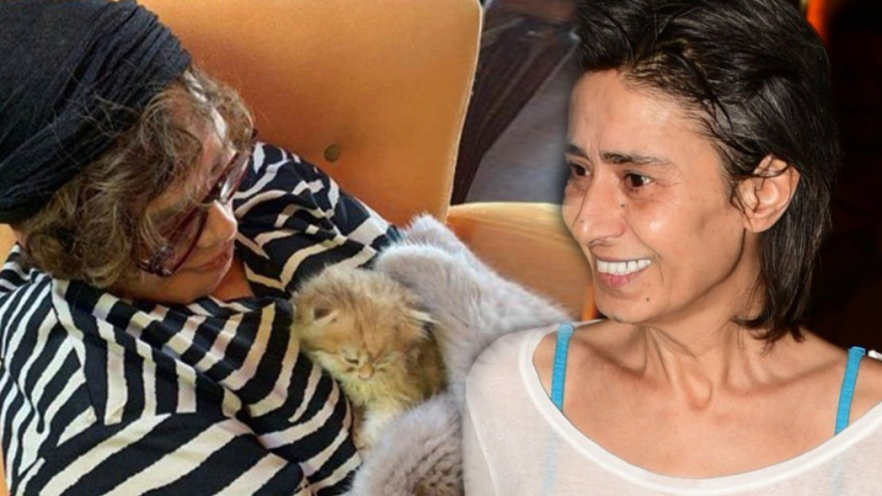 'KEDİM BENİ SEVMEDİ, SEZEN'İ SEVDİ'